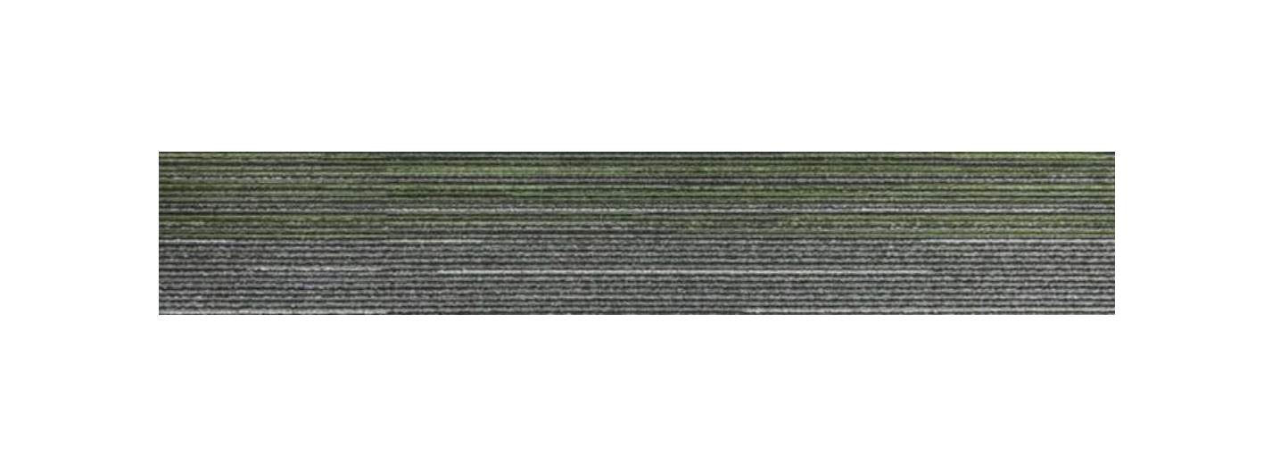 2106-Green Carpet Tiles